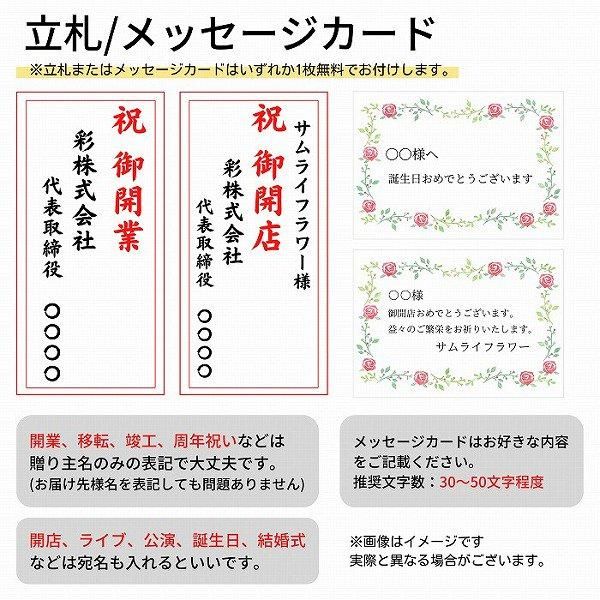 ¤()۴տʪ եåѡ 155cm 4