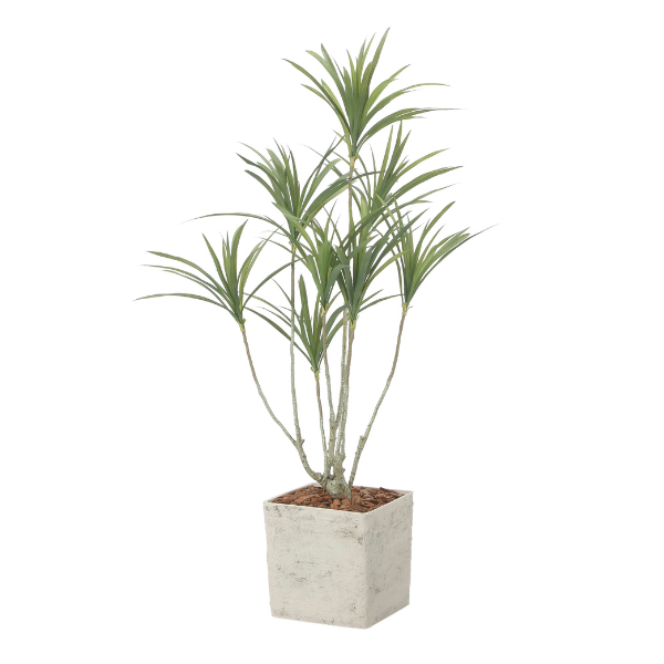 ¤()۴տʪ ƥꥢɥ饻 140cm 2