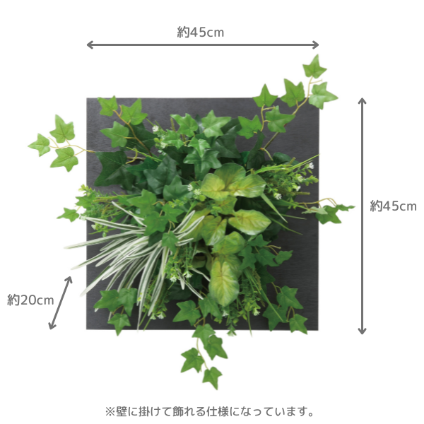 ¤()ɳݤտʪ 륿ץӡ45 2