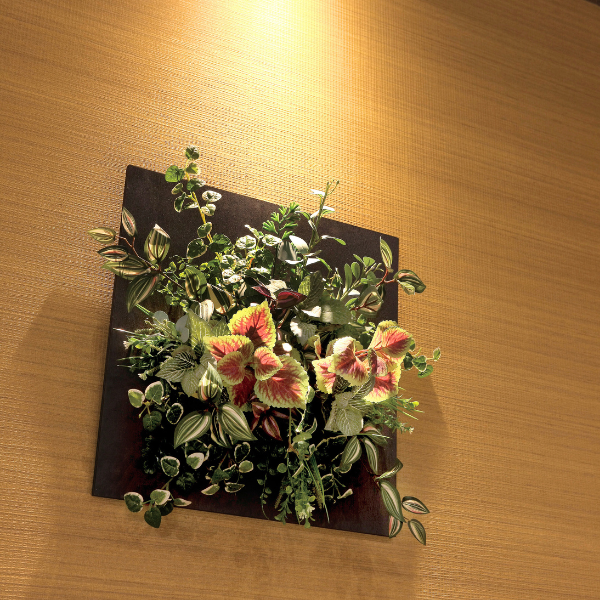 ¤()ɳݤտʪ 륿ץꥦ45