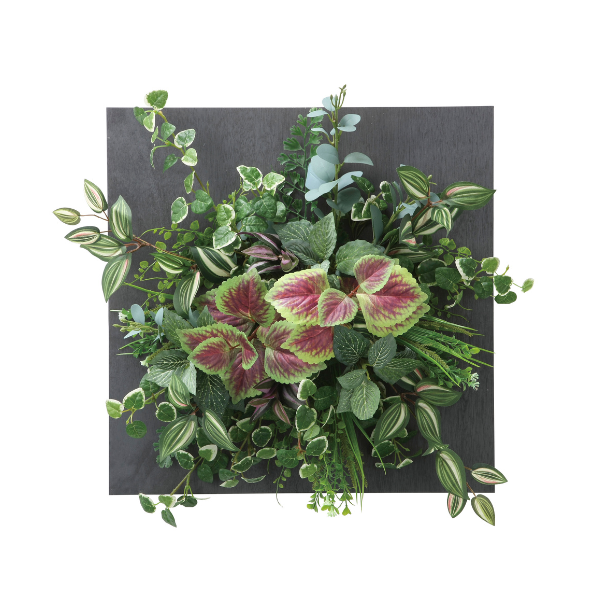 ¤()ɳݤտʪ 륿ץꥦ45 2