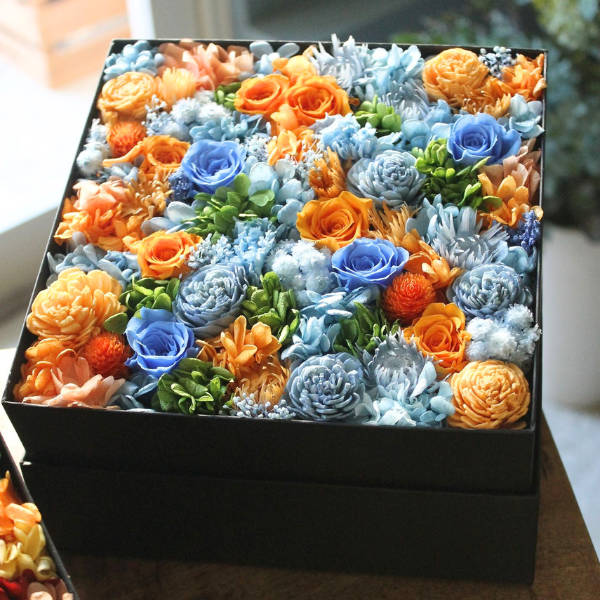 ץꥶ֥ɥե ܥå L() 2