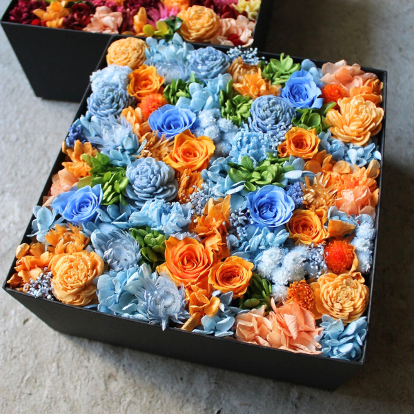 ץꥶ֥ɥե ܥå L() 3