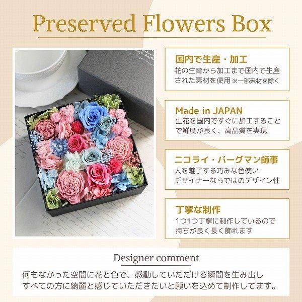 ץꥶ֥ɥե ܥå L() 6