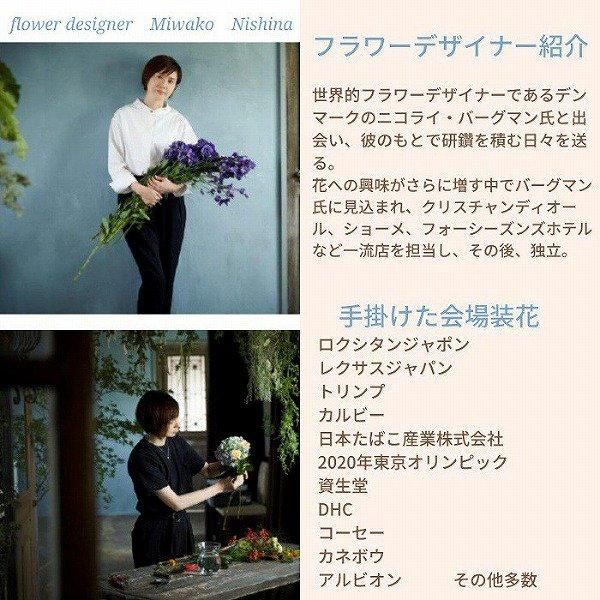 ץꥶ֥ɥե ܥå L() 7