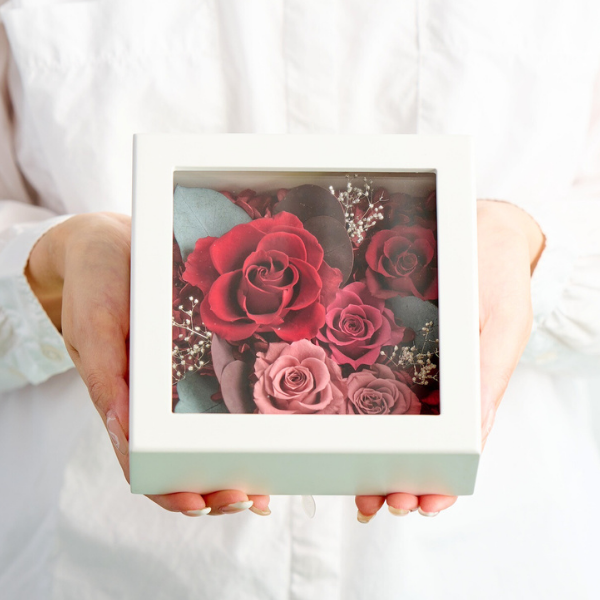 ץꥶ֥ɥե 󥸥ʥåɡ 3