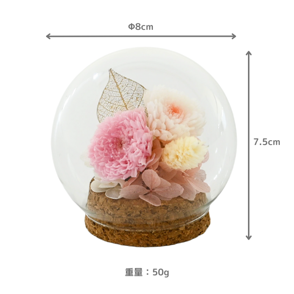 ڤѡۥץꥶ֥ɥե (ԥ) 4