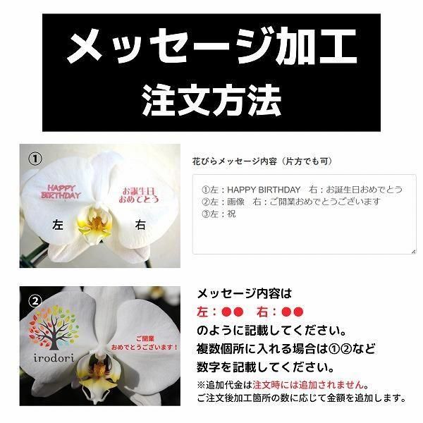 å եĳ 3Ω  2730ذʾ(ΤƤȭ) 7