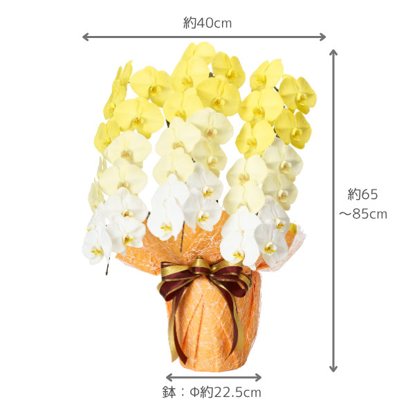 å ǡĳ  3Ω 2730ذʾ(ΤƤȭ) 4