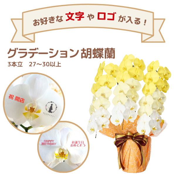 å ǡĳ  3Ω 2730ذʾ(ΤƤȭ)