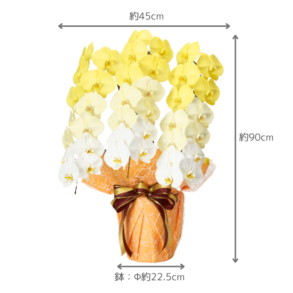 å ǡĳ  3Ω 3942ذʾ(ΤƤȭ) 4