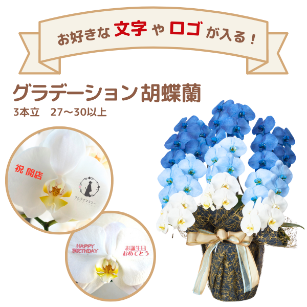 å ǡĳ ֥롼 3Ω 2730ذʾ(ΤƤȭ)