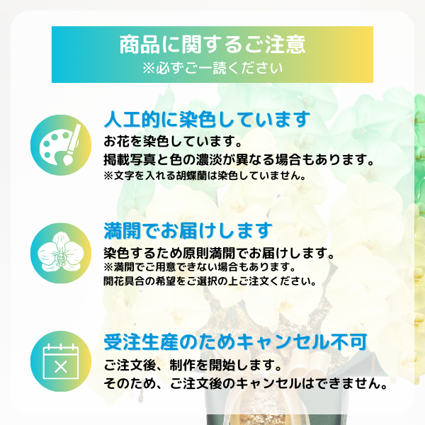 å ǡĳ ֥롼 3Ω 3336ذʾ(ΤƤȭ) 14