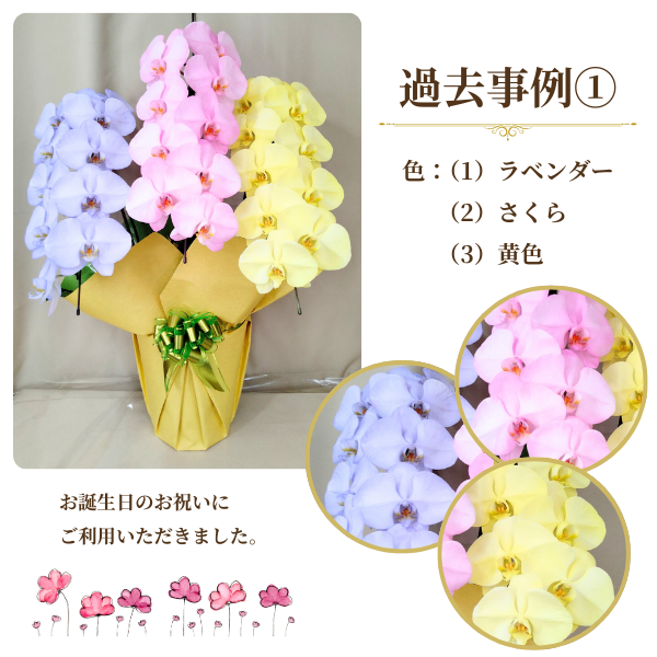 1ܤĿ٤롪եĳ 3Ω 2730ذʾ(ǳߤȤƼΤƤȭѡ 6