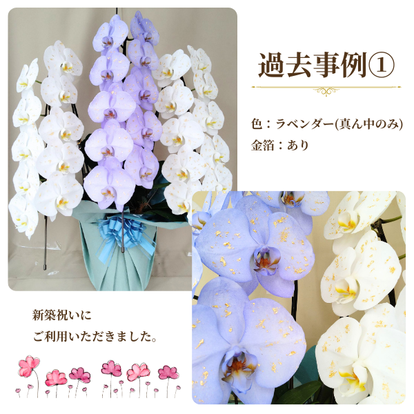 1ܤĿ٤롪եĳ 3Ω 2730ذʾ墨դ 7