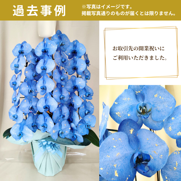 եĳ ͥӡ 3Ω 3336ذʾ墨դ 5