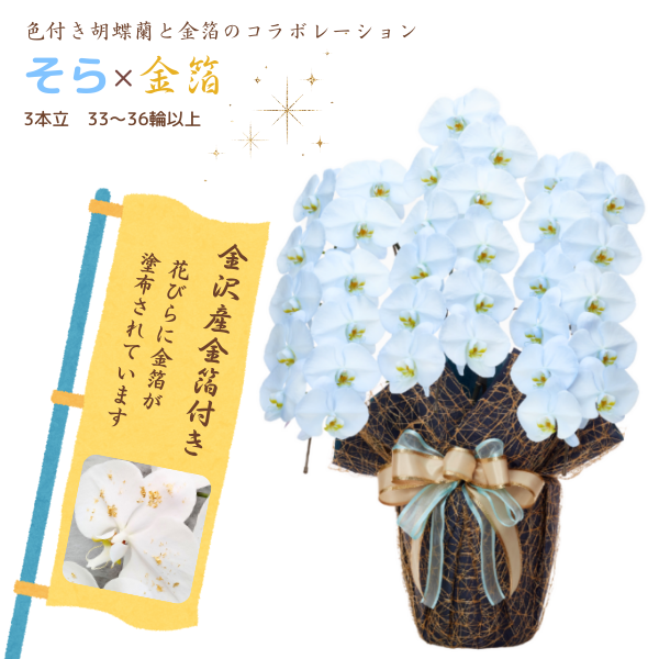 եĳ 鿧 3Ω 3336ذʾ墨դ