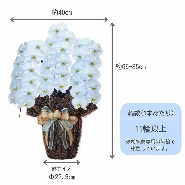 եĳ 鿧 3Ω 3336ذʾ墨դ 2