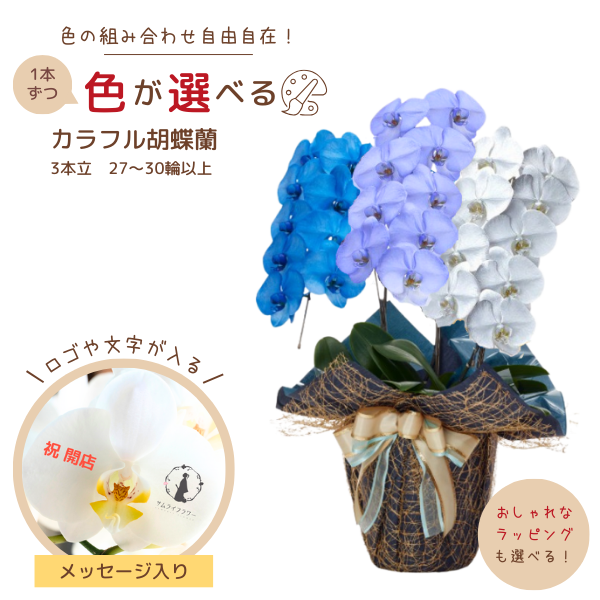 1ܤĿ٤롪եĳ 3Ω 2730ذʾ墨å