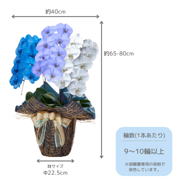 1ܤĿ٤롪եĳ 3Ω 2730ذʾ墨å 2