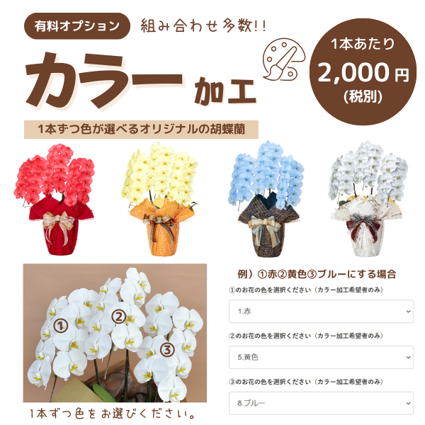 1ܤĿ٤롪եĳ 3Ω 2730ذʾ墨å 3