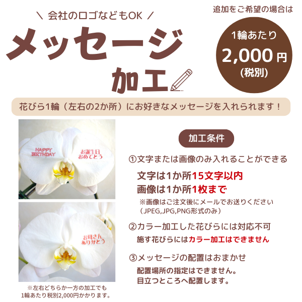 1ܤĿ٤롪եĳ 3Ω 2730ذʾ墨å 5