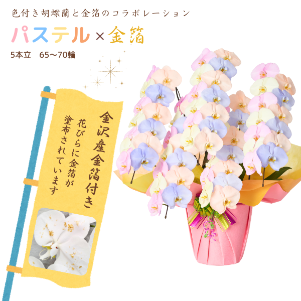 ѥƥĳ 5Ω 6570ذʾ墨դ