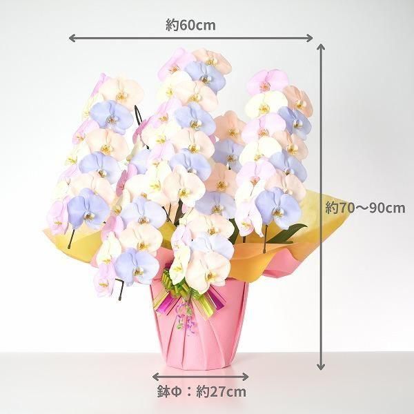 ѥƥĳ 5Ω 6570ذʾ墨դ 2