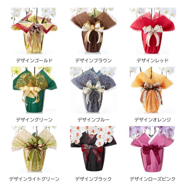 եĳ Ŀ(֥롼) 3Ω 3942ذʾ墨դ 10