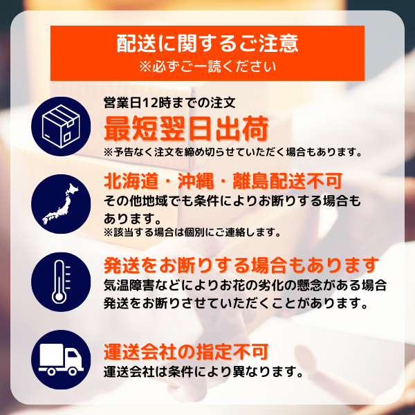 ѥƥĳ 5Ω 6570ذʾ墨դ 14