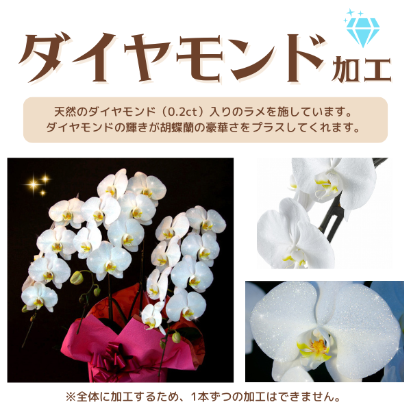 ѥƥĳ 5Ω 6570ذʾ墨դ 3