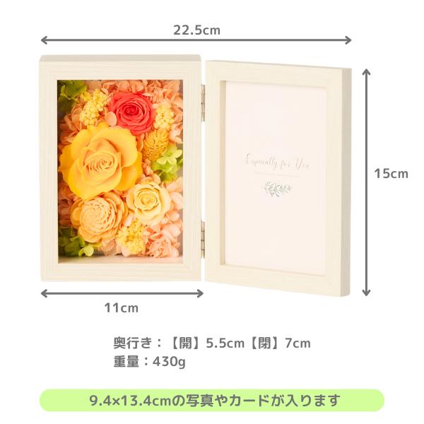 ()ȥץꥶ֥ɥե ֤ȼ̿Ω(쥯󥰥/)ڲ٤ޤ 3