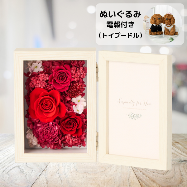 ̤(ȥסɥ)ȥץꥶ֥ɥե ֤ȼ̿Ω(쥯󥰥/å)