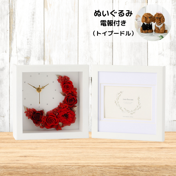 ̤(ȥסɥ)ȥץꥶ֥ɥե ֻסեȥե졼()