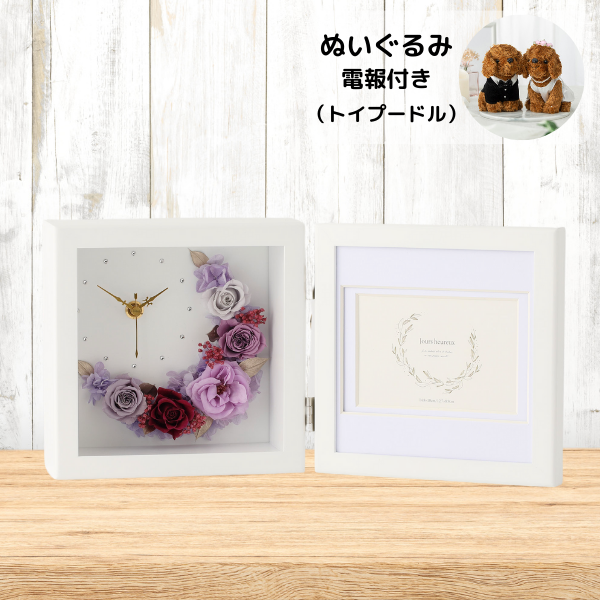 ̤(ȥסɥ)ȥץꥶ֥ɥե ֻסեȥե졼(ѡץ)