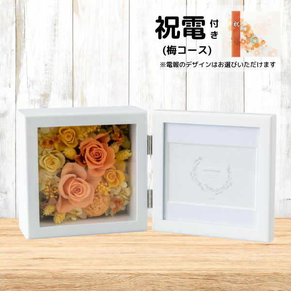 (ߥ)ȥץꥶ֥ɥե ֤ȼ̿Ω(/)ڲ٤ޤ