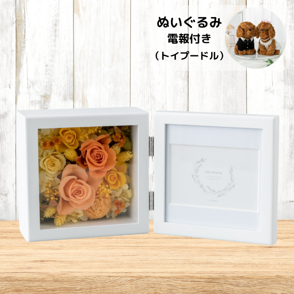 ̤(ȥסɥ)ȥץꥶ֥ɥե ֤ȼ̿Ω(/)