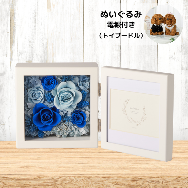 ̤(ȥסɥ)ȥץꥶ֥ɥե ֤ȼ̿Ω(/֥롼)