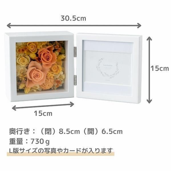 ǰʥСǡˤȥץꥶ֥ɥե ֤ȼ̿Ω(/) 3