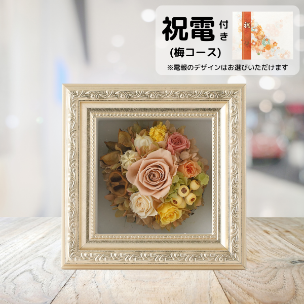 (ߥ)ȥץꥶ֥ɥե ޥ饹S()ڲ٤ޤ