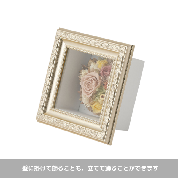 (ݥ)ȥץꥶ֥ɥե ޥ饹S()ڲ٤ޤ 3