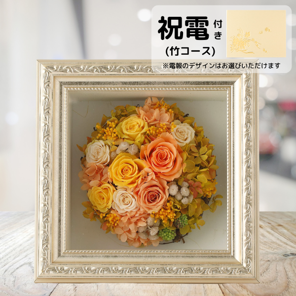 (ݥ)ȥץꥶ֥ɥե ޥ饹M()ڲ٤ޤ