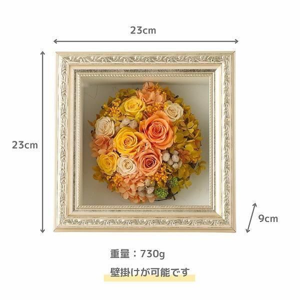 (ݥ)ȥץꥶ֥ɥե ޥ饹M()ڲ٤ޤ 3