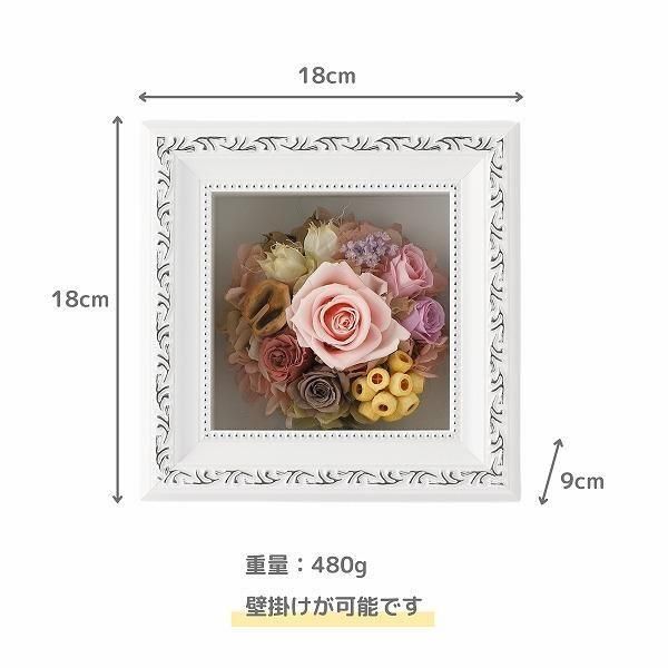 ()ȥץꥶ֥ɥե ޥ饹S(ԥ)ڲ٤ޤ 4