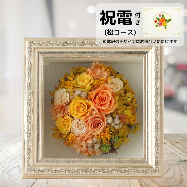 ()ȥץꥶ֥ɥե ޥ饹M()ڲ٤ޤ