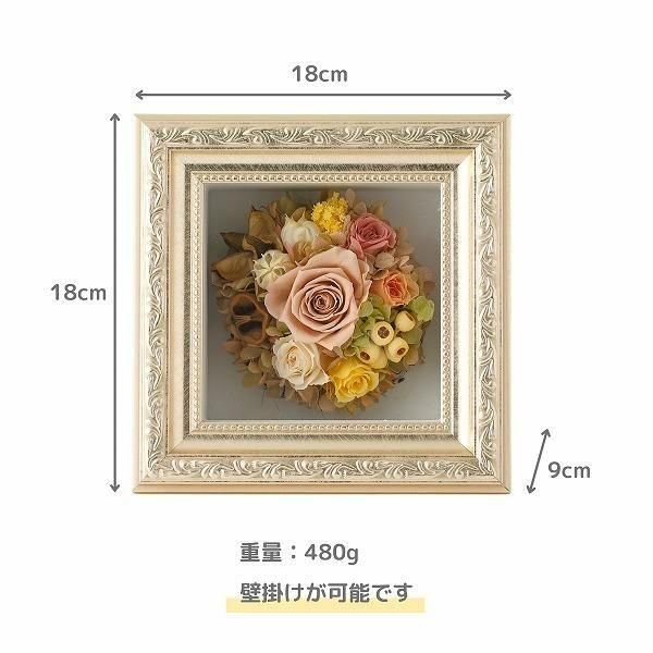 (ͧ»桦ؿ)ȥץꥶ֥ɥե ޥ饹S()ڲ٤ޤ 4