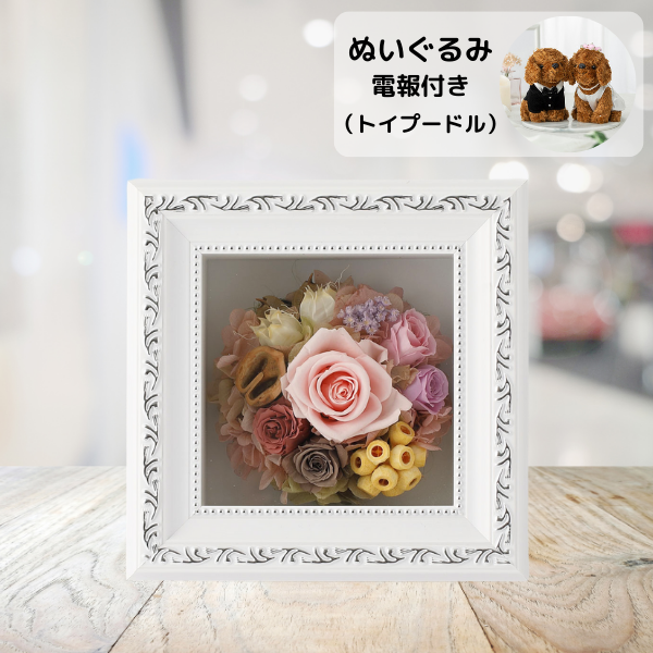 ̤(ȥסɥ)ȥץꥶ֥ɥե ޥ饹S(ԥ)