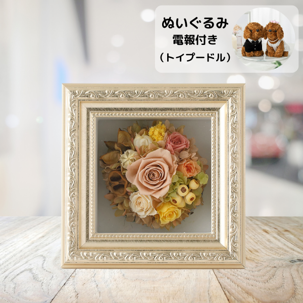 ̤(ȥסɥ)ȥץꥶ֥ɥե ޥ饹S()