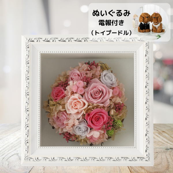 ̤(ȥסɥ)ȥץꥶ֥ɥե ޥ饹M(ԥ)