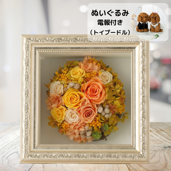 ̤(ȥסɥ)ȥץꥶ֥ɥե ޥ饹M()